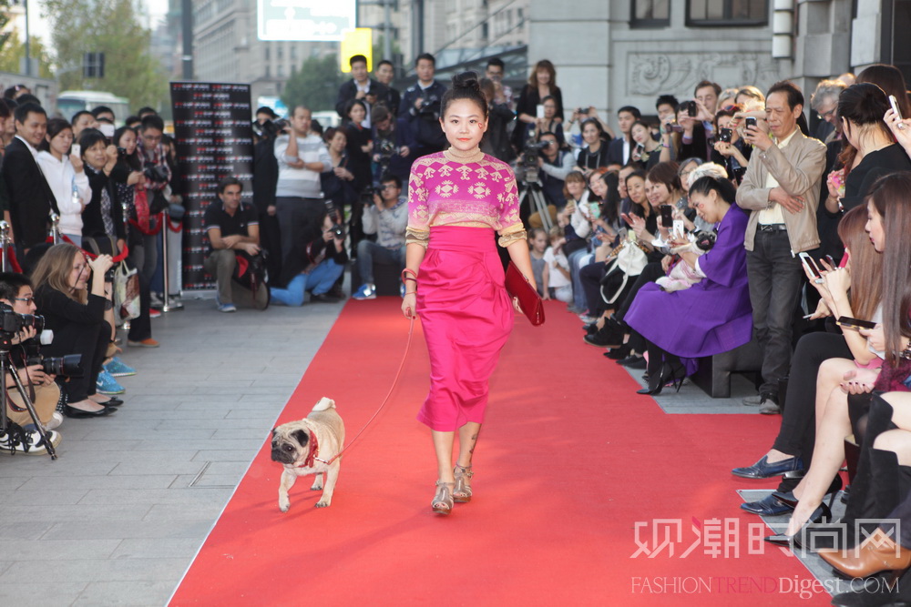 魅力惠“魅力變身”行動之無可匹敵魅力狗時尚秀