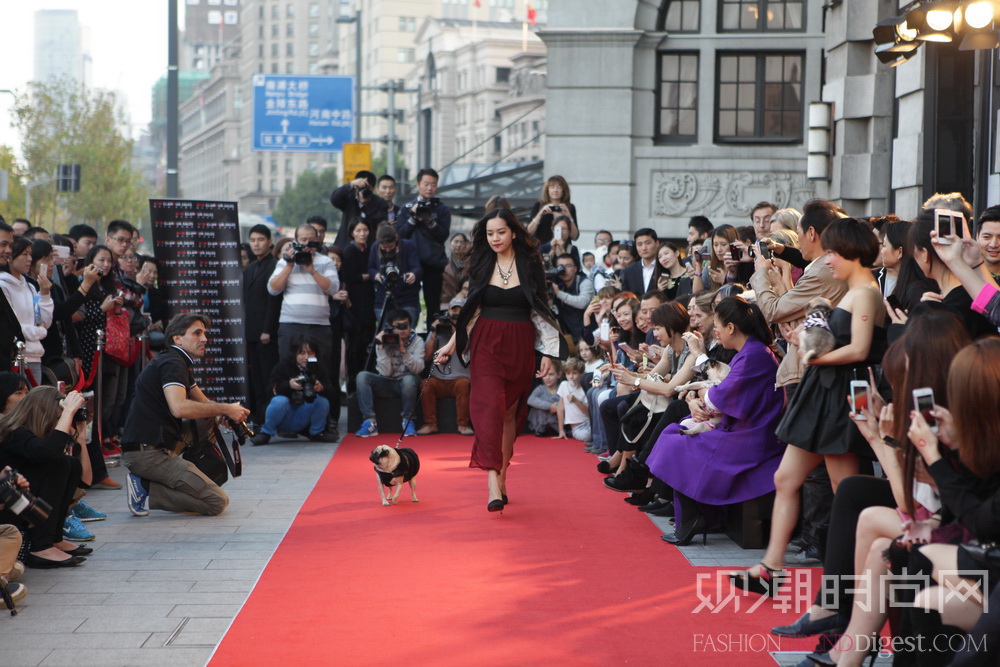 魅力惠“魅力變身”行動之無可匹敵魅力狗時尚秀