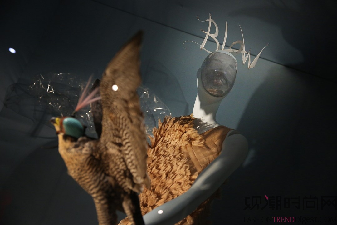 达芙妮吉尼斯赞助 “Isabella Blow：Fashion Galore”展览