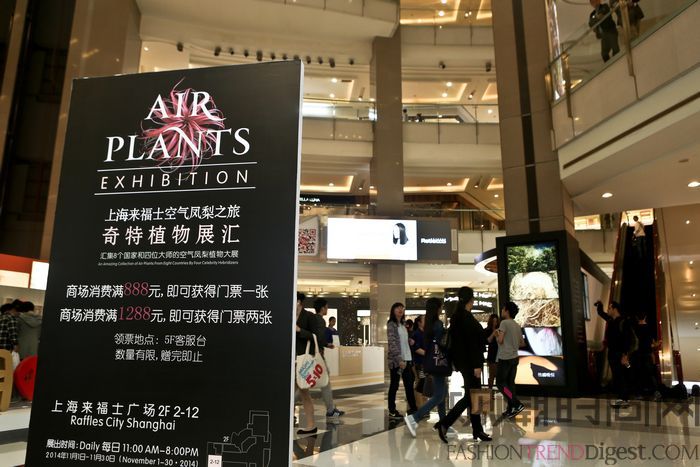 上海来福士空气凤梨之旅 奇特植物展汇
