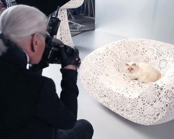 Karl Lagerfeld的宠物猫成Shu Uemura品牌广告代言人