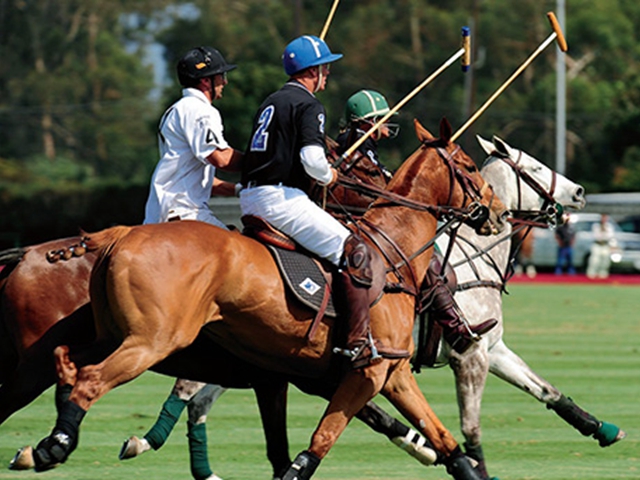 马背贵族-皇家棕榈马球俱乐部品牌 ROYAL PALM POLO SPORTS CLUB