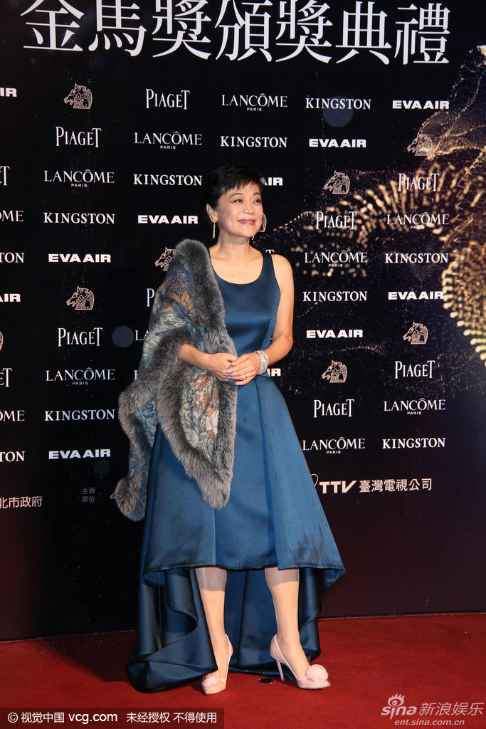 2015年金马奖颁奖典礼红毯造型