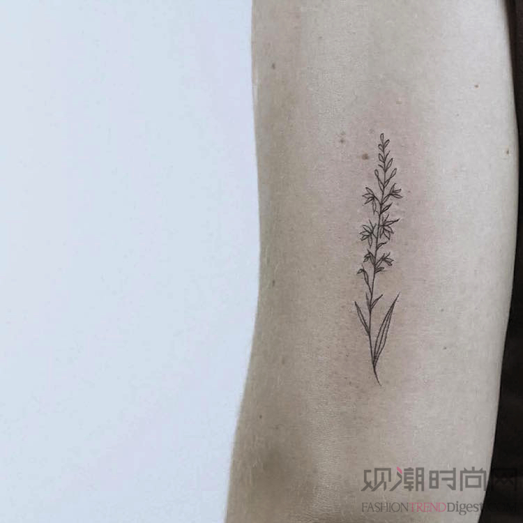 典雅的花卉纹身仿造精美的铅笔线条