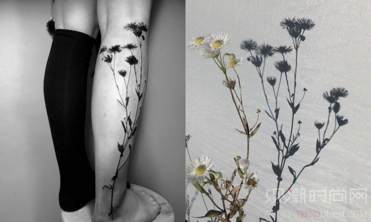 以植物阴影作为模板的精致纹身艺术