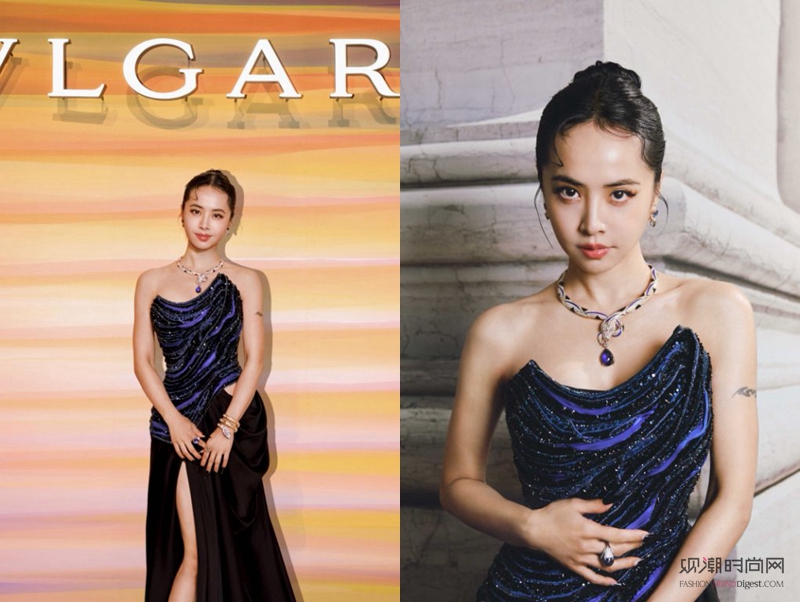 瑰彩臻宝 意韵华章 BVLG...