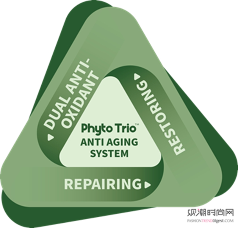 ӿ˥ǰ̽Phyto...