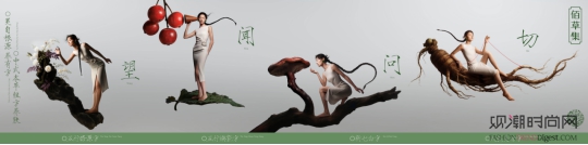 唯有根深，方能叶茂：佰草集2...