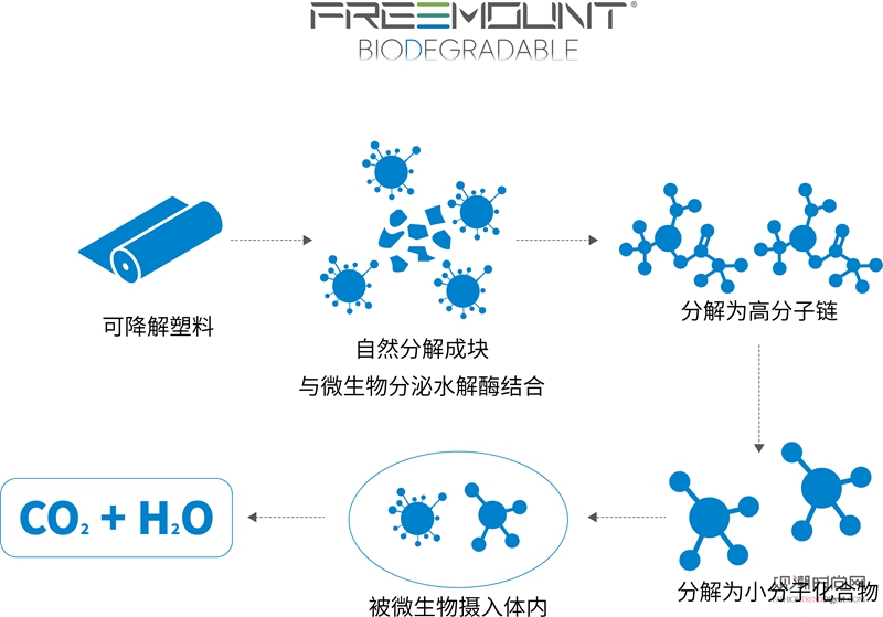 共筑中国纤维品牌力|华峰千禧...