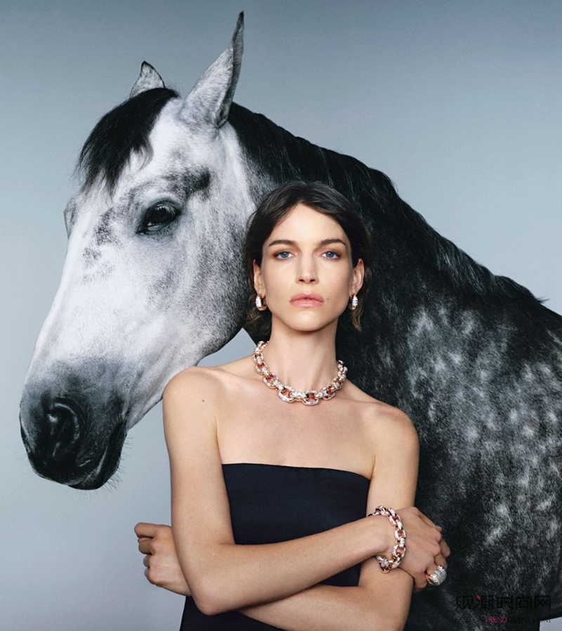 金色骏影: POMELLAT...