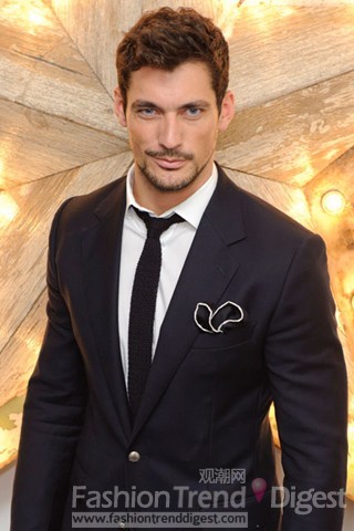 2. 模特大卫•甘迪 (David Gandy) 