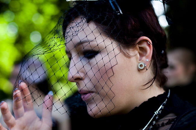 ���������أ�Wave Gotik�����ֽ� ���ط�ļ��е�