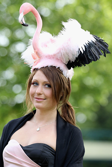 2011 Ascot�ʼ������᣺ñ��ʢ��