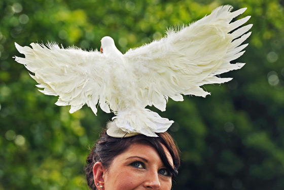 2011 Ascot�ʼ������᣺ñ��ʢ��