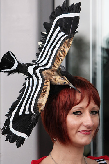 9. 这只小鸟正在展翅翱翔，似乎准备在美女头上安个窝。 