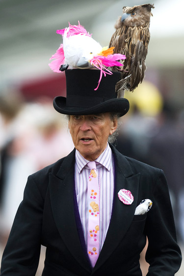 2011 Ascot�ʼ������᣺ñ��ʢ��