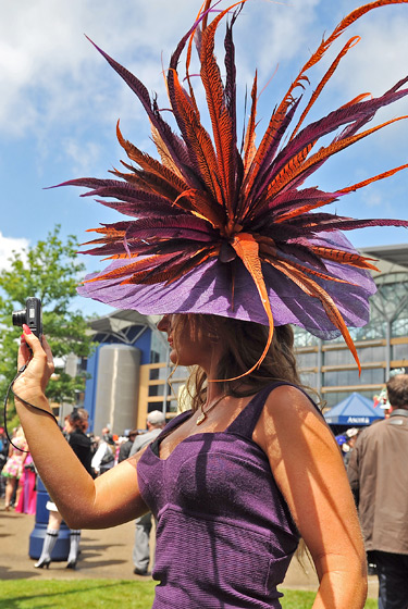 2011 Ascot�ʼ������᣺ñ��ʢ��
