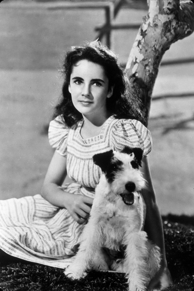 9. 10岁的伊丽莎白•泰勒 (Elizabeth Taylor)第一次出现在电影《每分钟出生一个孩子》中，顿时让全球的焦点都集中在她的身上。 