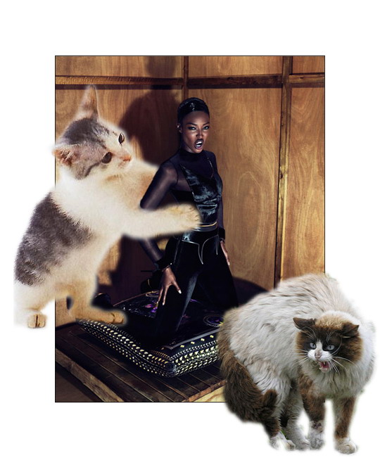 7. 黑人超模納奧米•坎貝爾 (Naomi Campbell)在Givenchy廣告中被一個巨型貓咪所抓住，所以產生了非常憤怒的表情。 