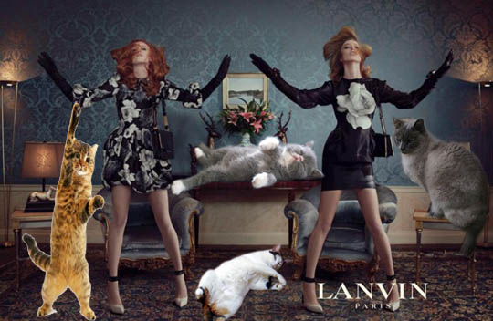 6. 這是一個跳舞的派對，讓我們一起跟隨著街拍同Raquel Zimmerman和Karen Elson，還有一群可愛的貓咪們一起張開手臂，扭動屁股，甚至還可以做出各種Hip-Hop的旋轉動作。 