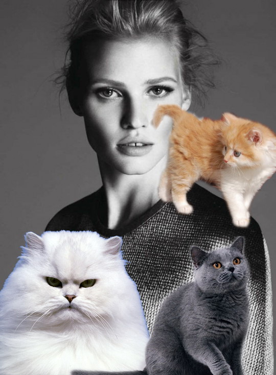 9. Calvin Klein廣告片中的勞拉•斯通 (Lara Stone)看起來非常嚴肅，一旦被貓咪包圍著的她的嘴角邊多了一分童趣。 