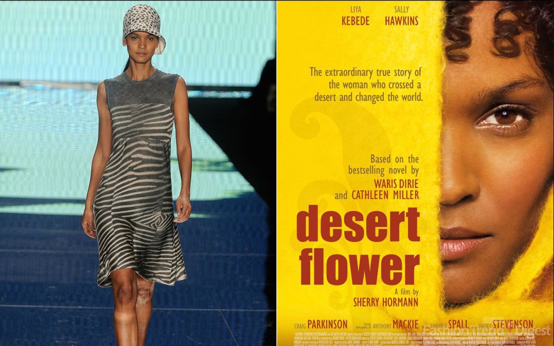 13. 莉亚•开比蒂 (Liya Kebede)<br>
这位美丽的黑人超模首次触电银幕是在2009年，她出演了电影《Desert Flower》。后来她又参演了《The Good Shepherd》和今年的《Black Gold》。<br>
 