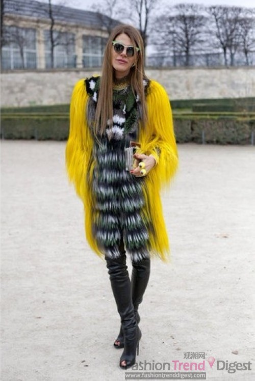 5. 《Vogue》日本版自由时装总监及创意顾问安娜•戴洛•罗素(Anna Dello Russo)身穿的是拼色皮草，芥末黄与虎纹的拼接，相当霸气。