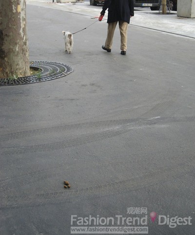 2. 我们非常喜欢养宠物，但是千万不要你家的狗在街上拉屎。