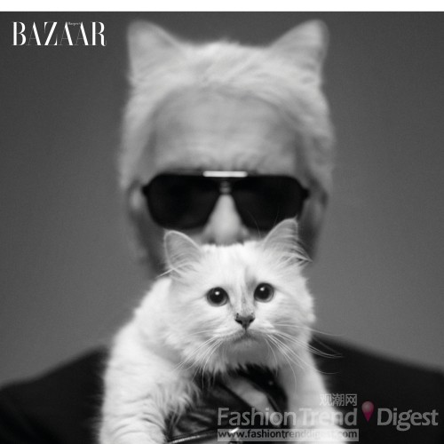 12. 2012年8月7日，Karl老佛爷带着爱宠Choupette登上了《Harper's Bazaar》九月刊，并在杂志的采访中介绍了Choupette的幸福生活。