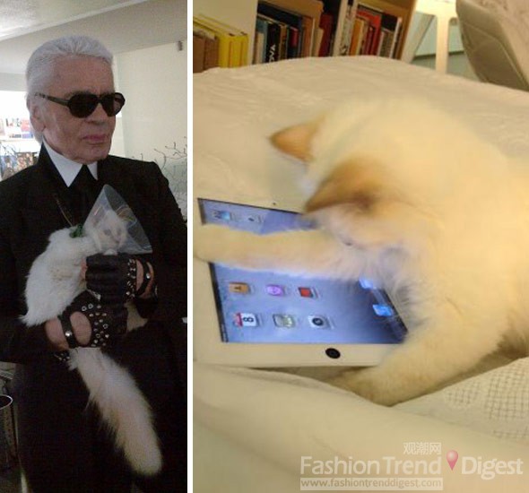 5. 2012年5月10日，Choupette在玩 iPad，老佛爷Karl Lagerfeld将这张照片传上Twitter。