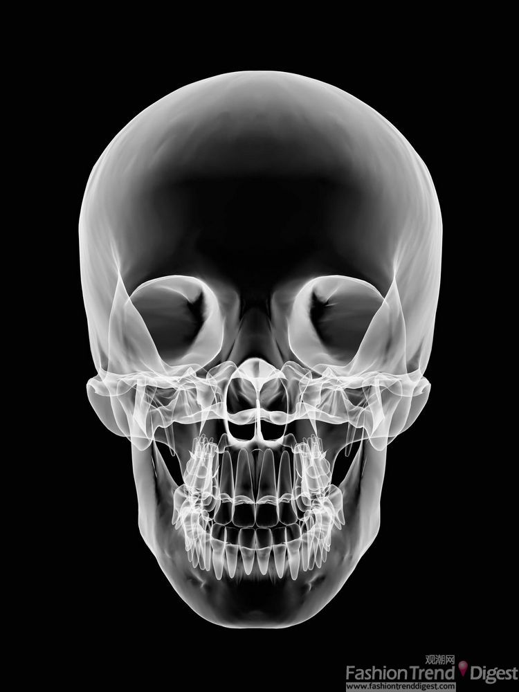 1.X光照射的效果,为了让观众感受到人类骨骼的冲击力！骷髅头的图案风靡全球，这绝对跟麦昆有直接关系！
