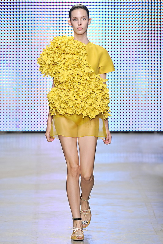 Giambattista Valli 11ĸͼƬ